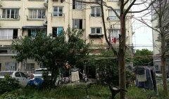 闵行丽园小区爆料视频最新,业主维权事件引发关注